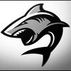 graysharki2